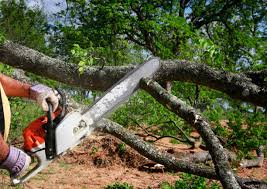 Best Emergency Tree Removal  in Allouez, WI